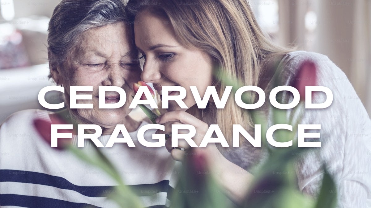 cedarwood fragrance
