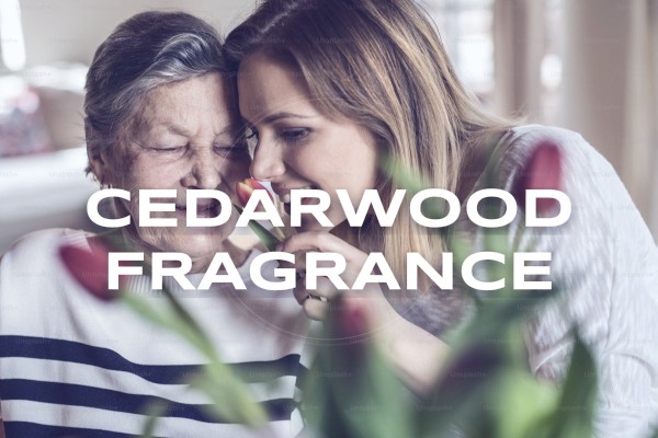 cedarwood fragrance
