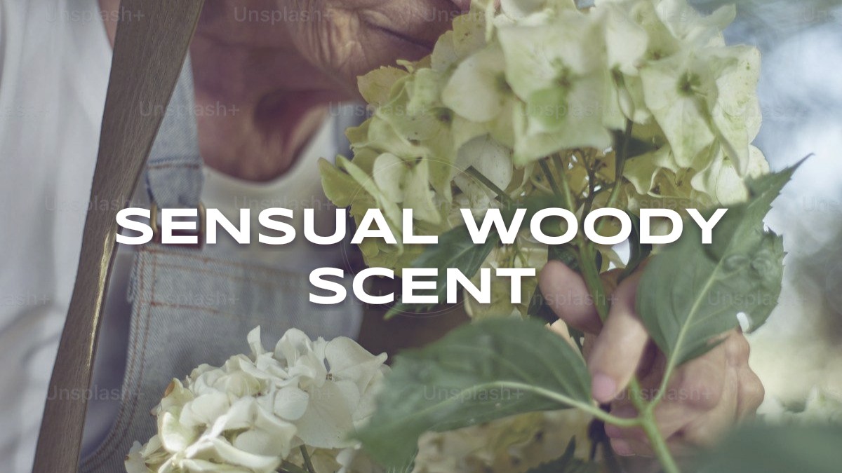 sensual woody scent